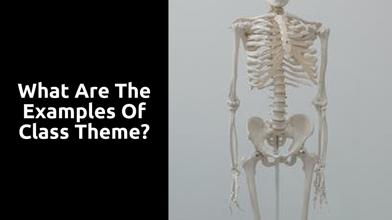 What are the examples of class theme?